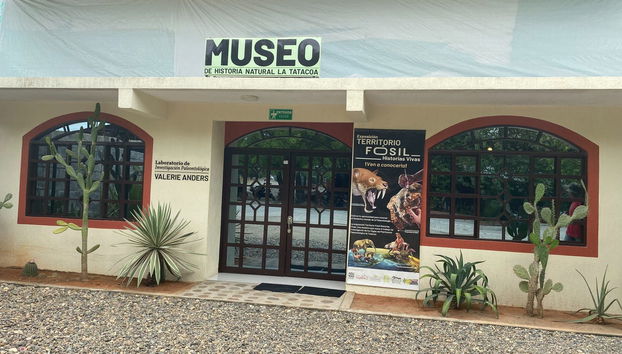 Tour por el Museo de Historia Natural de la Tatacoa + Taller de fósiles - Foto 3