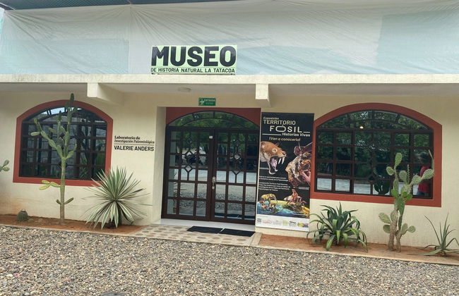 Tour por el Museo de Historia Natural de la Tatacoa + Taller de fósiles - Foto 3