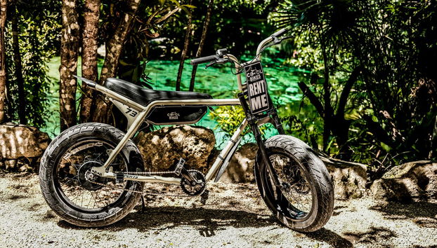 Explorez la vie urbaine et la nature