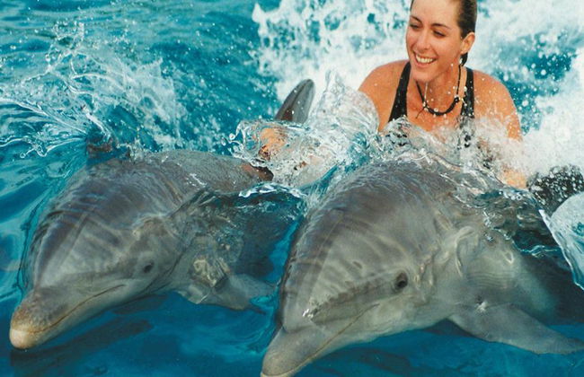 Dolphine show - Photo 5