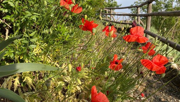 Tour delle Gole del Vezzeno - Foto 2