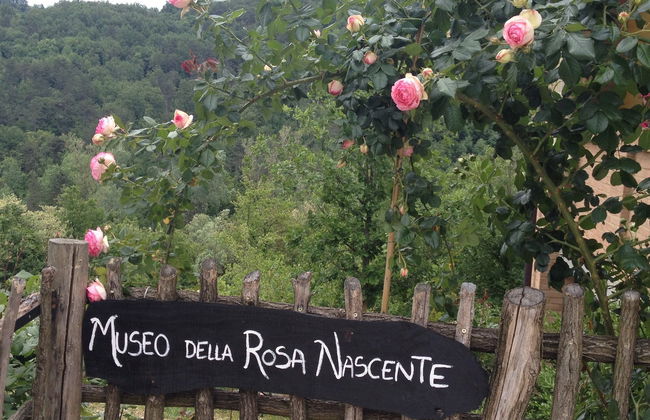 Tour delle Gole del Vezzeno - Foto 6