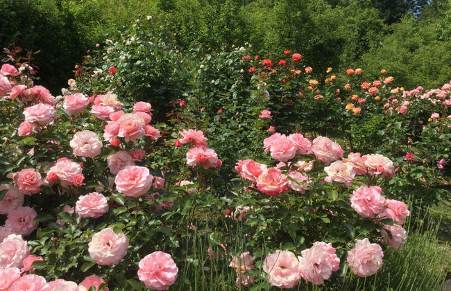 Tour delle Gole del Vezzeno - Foto 7