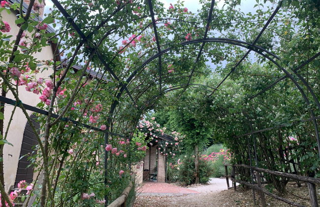 Tour delle Gole del Vezzeno - Foto 8