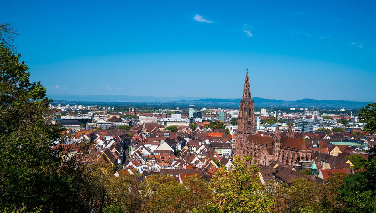 Visita guiada por Friburgo de Brisgovia - Photo 1