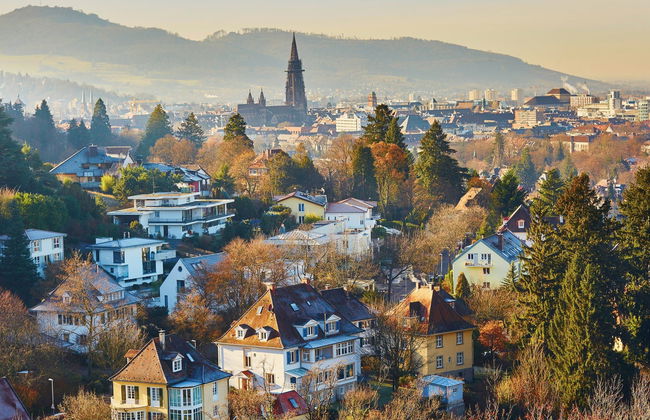 Visita guiada por Friburgo de Brisgovia - Photo 3
