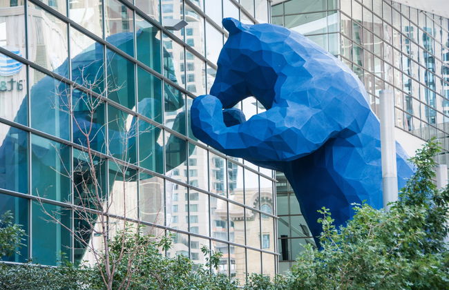 Denver Guided Tour - Photo 1