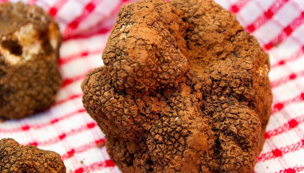 Tour de la trufa por Cadenet - Foto 2