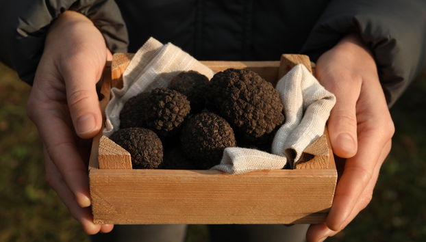 Tour de la trufa por Cadenet - Foto 5
