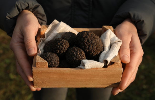 Tour de la trufa por Cadenet - Foto 5