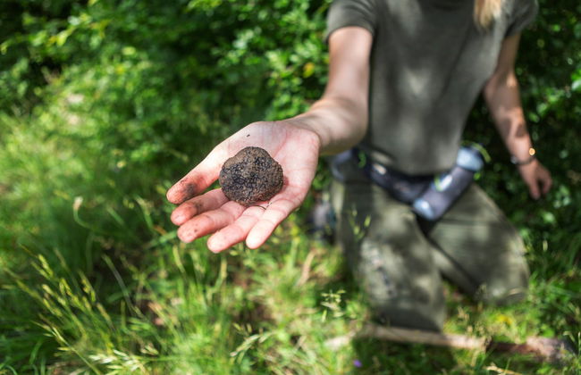 Tour de la trufa por Cadenet - Foto 4