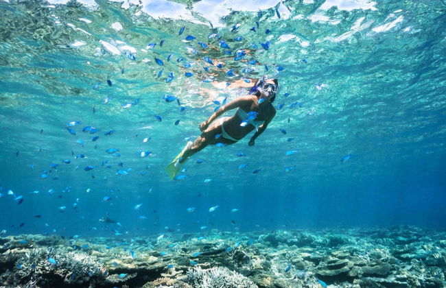 Excursión a Formentera y Cala Saona - Foto 3