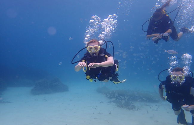 Bautismo de buceo en la Reserva Marina Cala Delta - Foto 2