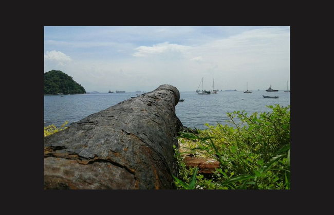 Traghetto per l'isola di Taboga - Foto 6