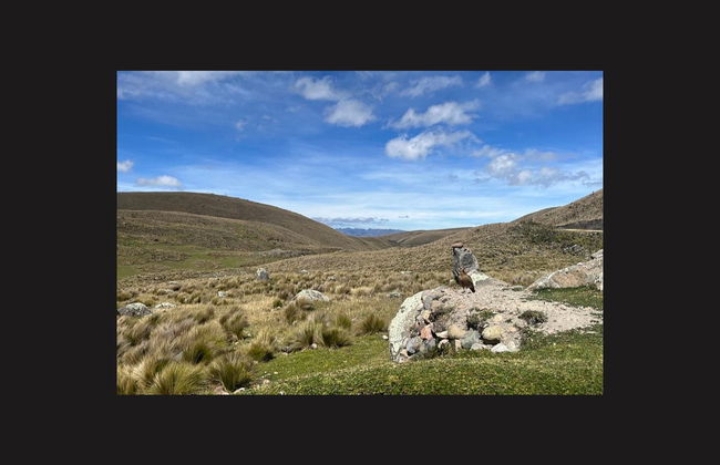 Trilha pelo Caminho Inca de Culebrillas a Ingapirca - Foto 2