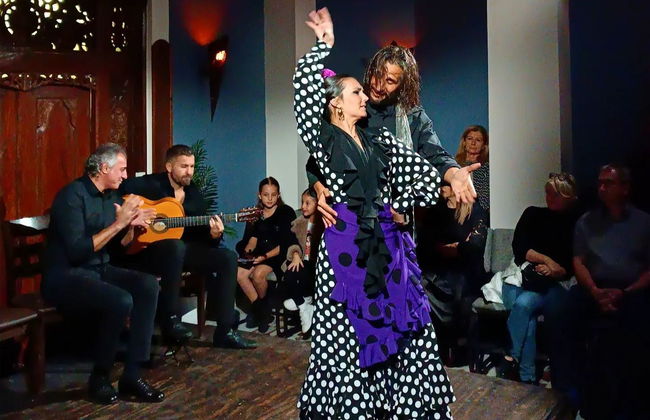 Spettacolo di flamenco nella Sala Almoraima - Foto 1