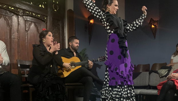 Espectáculo flamenco en la Sala Almoraima - Foto 3