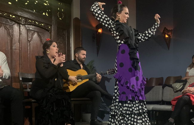 Spettacolo di flamenco nella Sala Almoraima - Foto 3