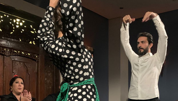 Espectáculo flamenco en la Sala Almoraima - Foto 5