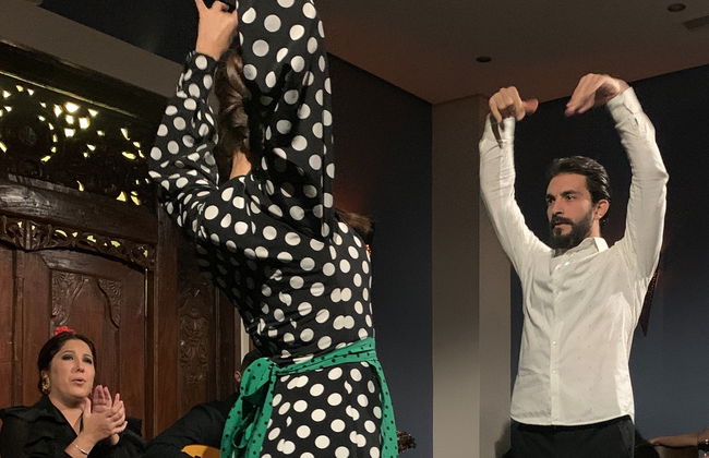 Spettacolo di flamenco nella Sala Almoraima - Foto 5