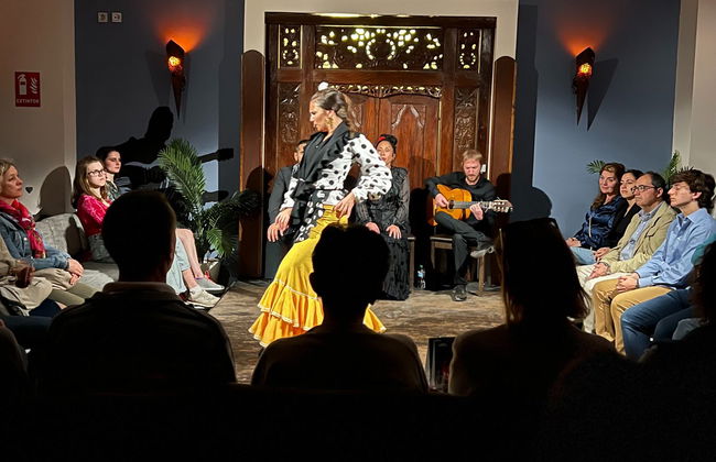 Spettacolo di flamenco nella Sala Almoraima - Foto 6