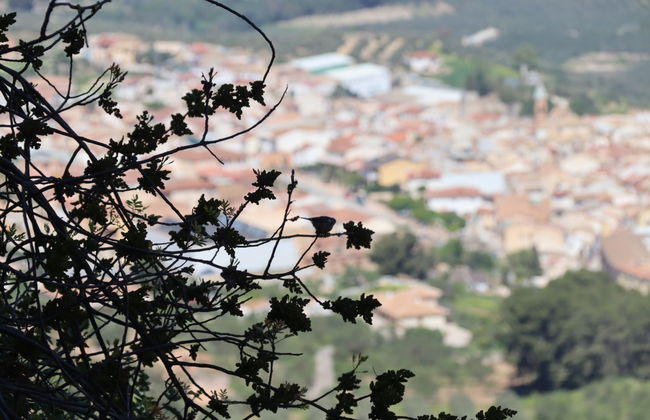 Senderismo por Cuevas de San Marcos - Photo 7