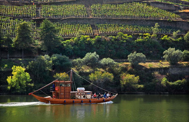 Private Day Trips from Porto - Foto 6