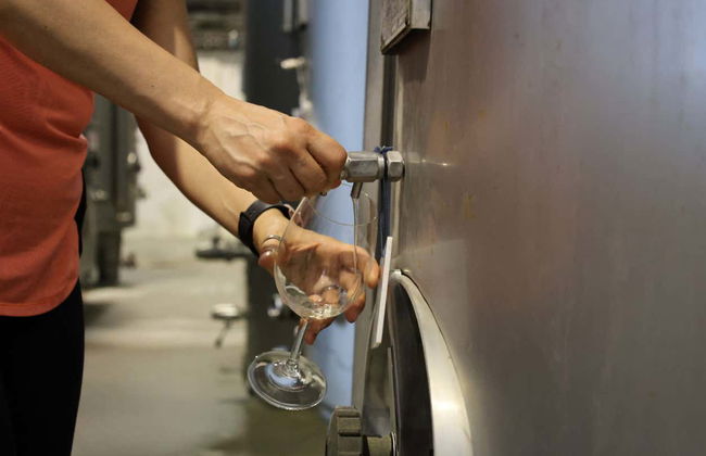 Escursione a Évora e alle sue cantine - Foto 3