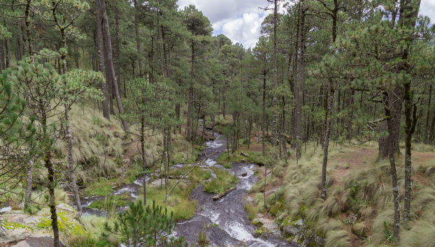 Senderismo por el Paso de Cortés Iztaccíhuatl - Foto 4