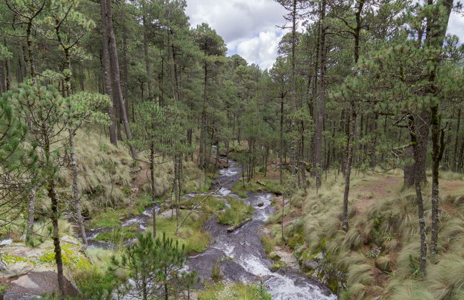 Senderismo por el Paso de Cortés Iztaccíhuatl - Foto 4