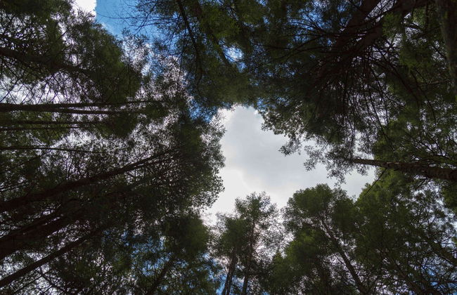 Senderismo por el Paso de Cortés Iztaccíhuatl - Foto 1