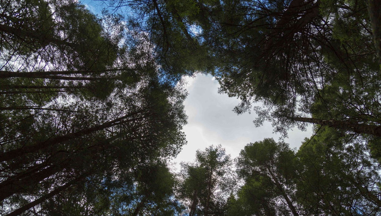 Senderismo por el Paso de Cortés Iztaccíhuatl - Foto 1