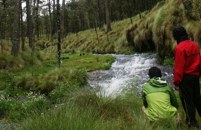 Randonnée dans le Paso de Cortés Iztaccíhuatl - Photo 4