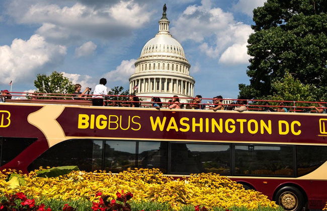 Autobús turístico de Washington DC - Foto 4