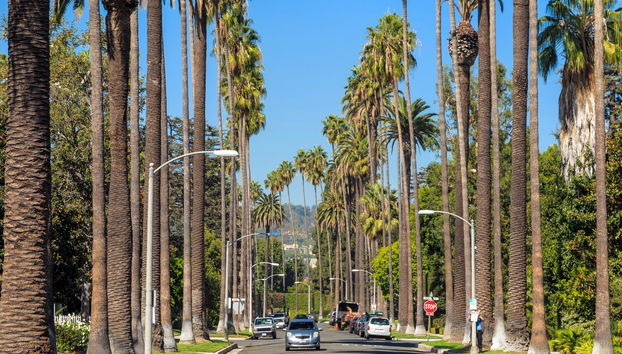 Visite des maisons des célébrités de Hollywood - Photo 2