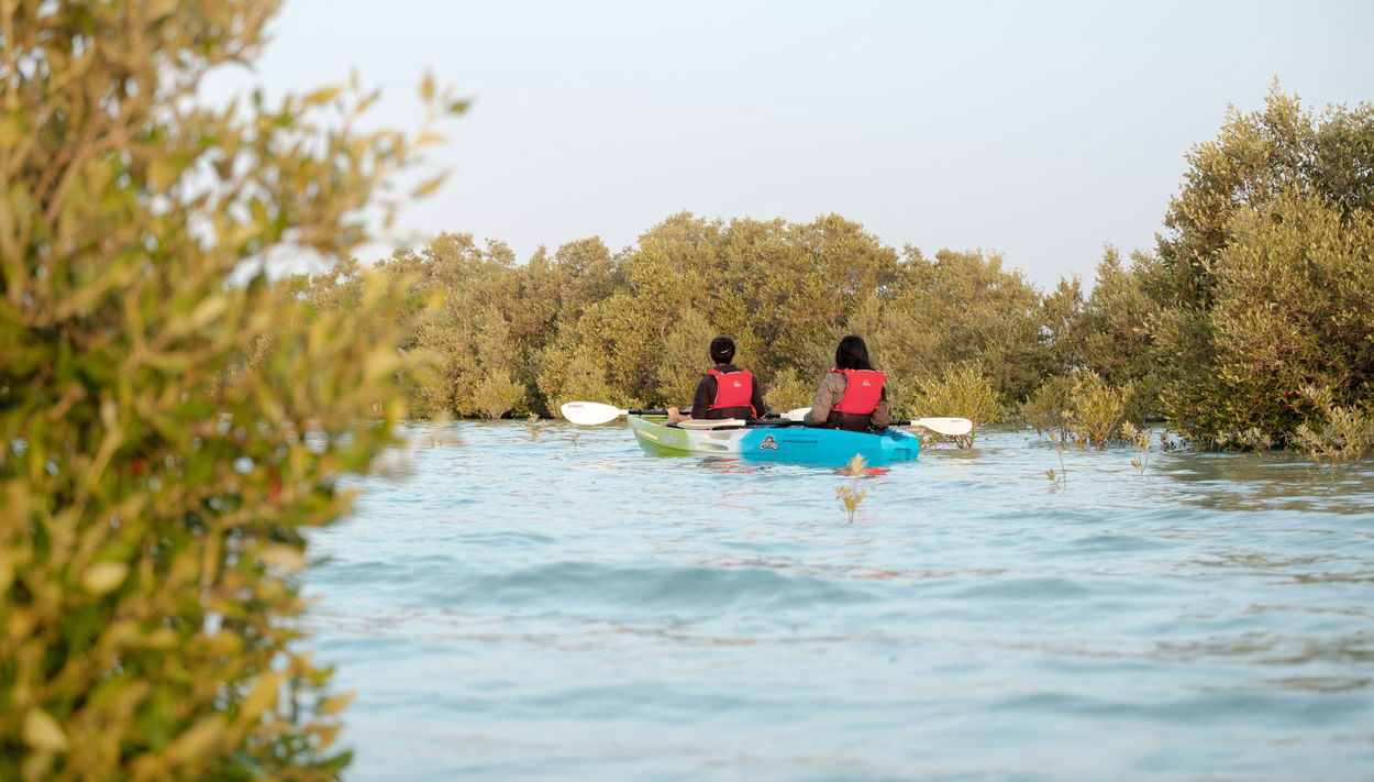 Tour en kayak por el Parque Nacional de los Manglares - Foto 1