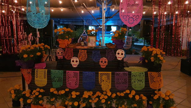 Tour del Día de Muertos por Xochimilco con cena - Foto 4