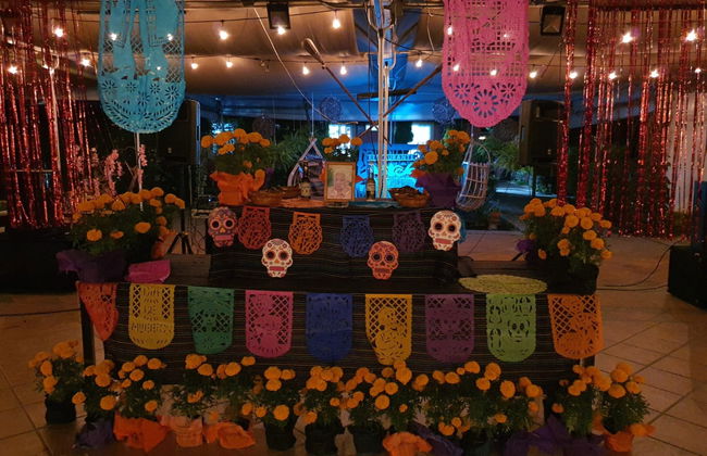 Tour del Día de Muertos por Xochimilco con cena - Foto 4