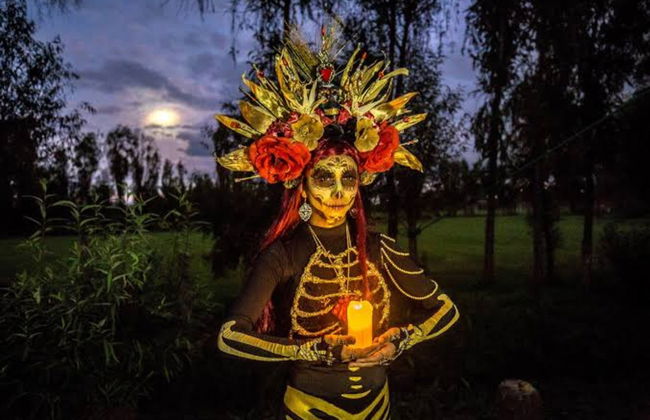 Tour del Día de Muertos por Xochimilco con cena - Foto 5