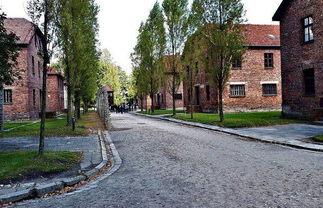 Excursión privada a Auschwitz-Birkenau - Foto 2