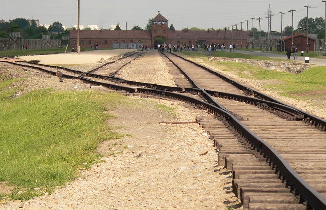 Excursión privada a Auschwitz-Birkenau - Foto 3