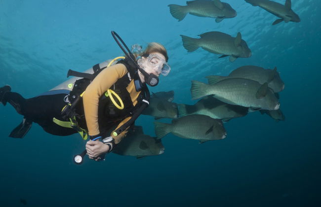 Plongée à Bali en petit groupe - Photo 7