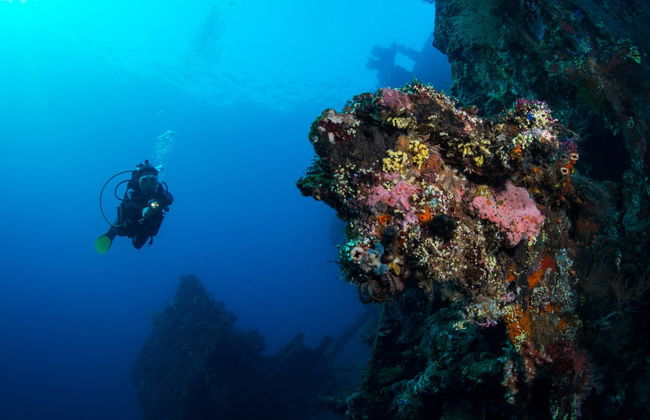 Plongée à Bali en petit groupe - Photo 1