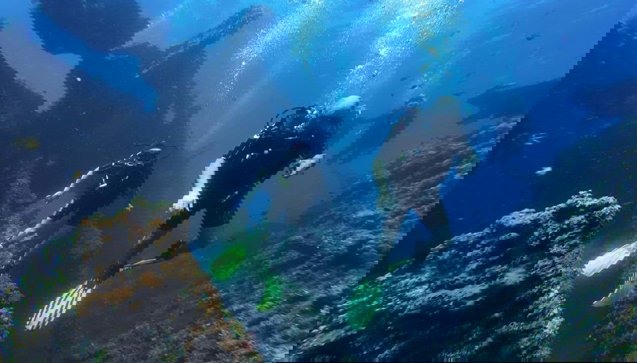 Buceo en Bali - Foto 1