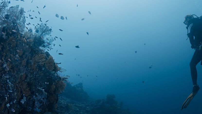 Buceo en Bali - Foto 3