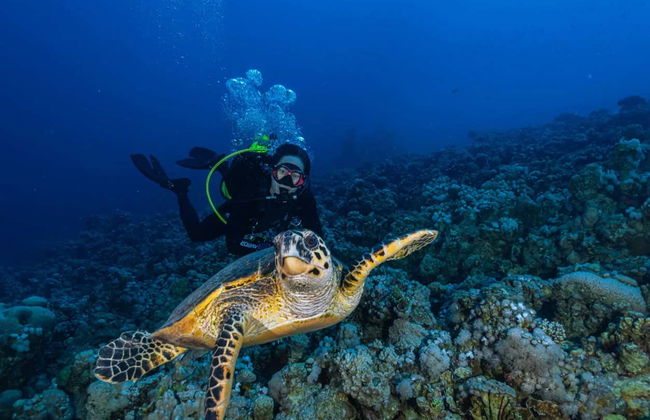 Buceo en Bali - Foto 2
