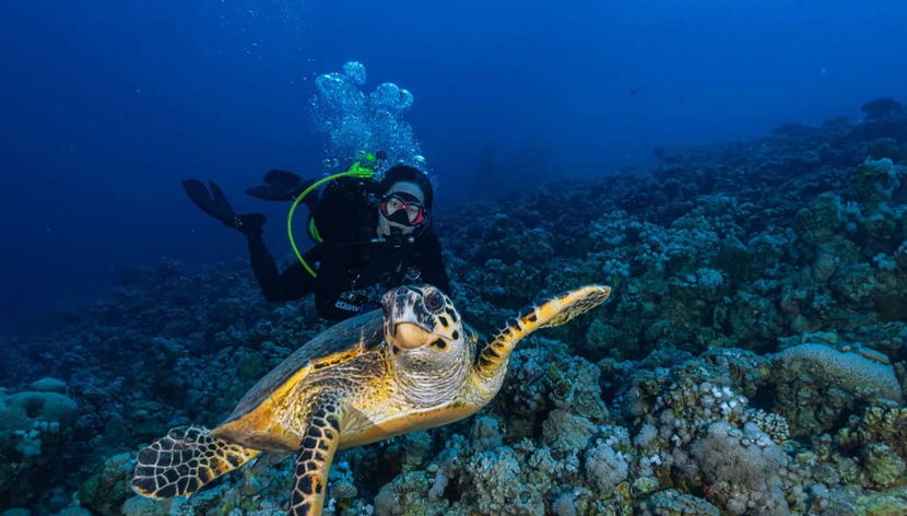Buceo en Bali - Foto 2