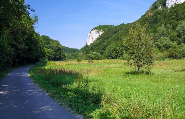 Excursión privada desde Cracovia - Foto 4