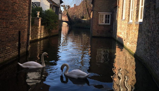 Bruges Sightseeing Private Tour - Foto 3