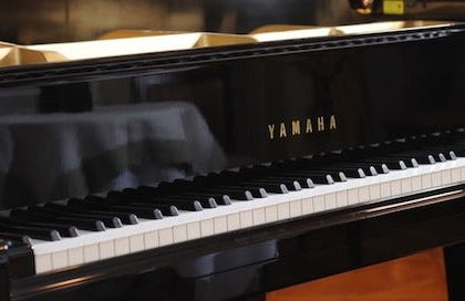 Concerto di pianoforte con musica di Chopin - Foto 8